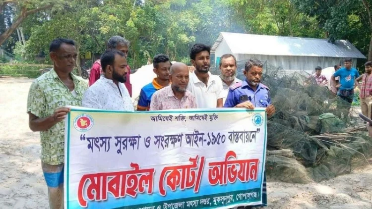 মুকসুদপুরে অভিযানে চায়না দুয়ারি জাল ধ্বংস