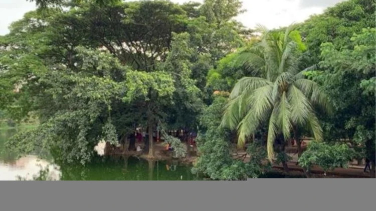 ধানমন্ডি লেক থেকে মরদেহ উদ্ধার