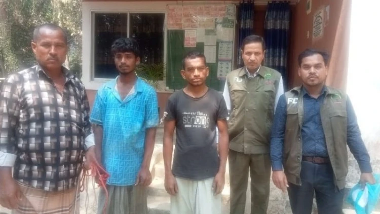 কক্সবাজারে সরকারি গাছ কাটার সময় হাতেনাতে আটক ৪