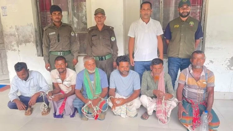 সুন্দরবনে হরিণ শিকারের ফাঁদসহ ৬ শিকারি গ্রেপ্তার