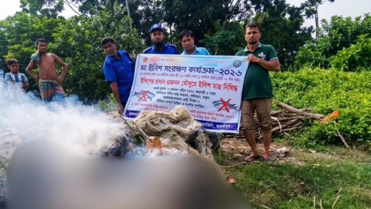 কালকিনিতে অবৈধ কারেন্ট জাল ধ্বংস