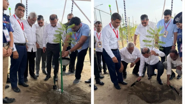 ঢাকা-আরিচা মহাসড়কের পাশে গাছের চারা রোপণ প্রধানমন্ত্রীর