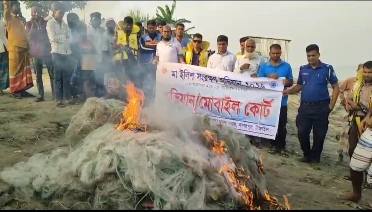 নাগরপুরে সাড়ে ১০ লাখ টাকা মূল্যের কারেন্ট জাল জব্দ